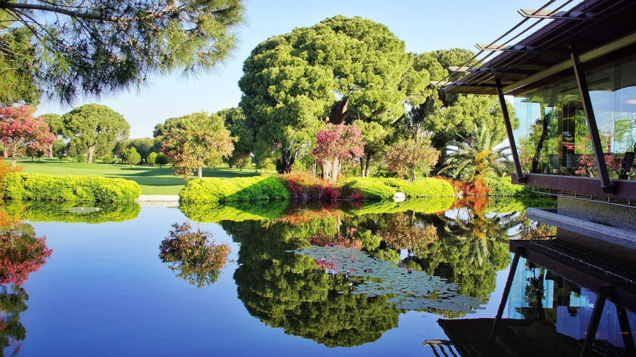 clubhouse8 golfclub h